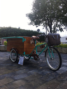 Food bike jalón tutifrutti 2021 RIN RIN BICLAS
