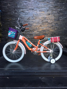 Slim N R20 Wanda Maximoff RIN RIN BICLAS