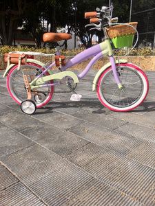 Rally N R16 Mikasa Ackerman RIN RIN BICLAS