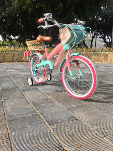 Rally N R16 Evergarden RIN RIN BICLAS