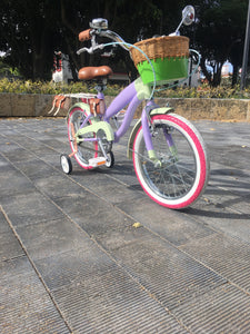Rally N R16 Mikasa Ackerman RIN RIN BICLAS