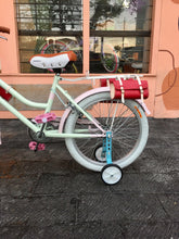 Cargar imagen en el visor de la galería, Vint N R20 Nezuko RIN RIN BICLAS
