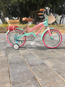 Rally N R16 Evergarden RIN RIN BICLAS