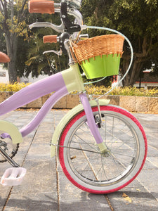 Rally N R16 Mikasa Ackerman RIN RIN BICLAS