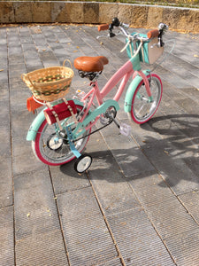 Rally N R16 Evergarden RIN RIN BICLAS