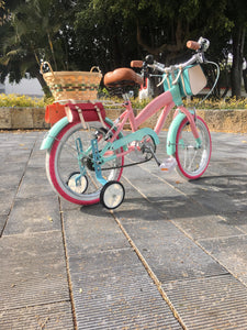 Rally N R16 Evergarden RIN RIN BICLAS