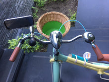 Cargar imagen en el visor de la galería, Vint N R20 Sailor Jupiter RIN RIN BICLAS
