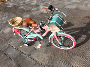 Rally N R16 Evergarden RIN RIN BICLAS