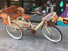 Cargar y reproducir el video en el visor de la galería, Tricicleta Chocolat 2020 RIN RIN BICLAS
