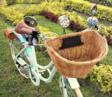 Cargar imagen en el visor de la galería, Hardluminium Everlasting Love RIN RIN BICLAS
