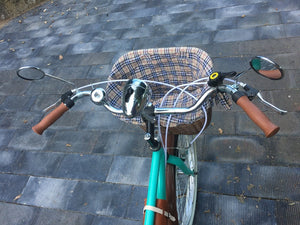 Food bike jalón tutifrutti 2021 RIN RIN BICLAS