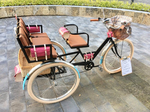 Tricicleta Camp Claude 2020 RIN RIN BICLAS