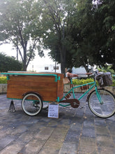 Cargar imagen en el visor de la galería, Food bike jalón tutifrutti 2021 RIN RIN BICLAS
