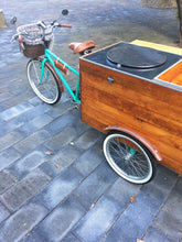 Cargar imagen en el visor de la galería, Food bike jalón tutifrutti 2021 RIN RIN BICLAS
