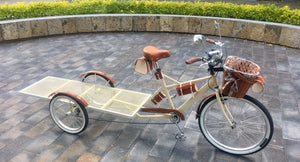 Food bike Plataforma jalón chocolat 2022 RIN RIN BICLAS