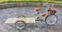Cargar imagen en el visor de la galería, Food bike Plataforma jalón chocolat 2022 RIN RIN BICLAS
