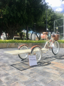 Food bike Plataforma jalón chocolat 2022 RIN RIN BICLAS