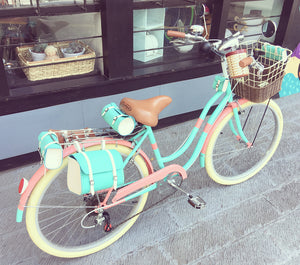 Slim D Sky Ferreira 2.0 RIN RIN BICLAS