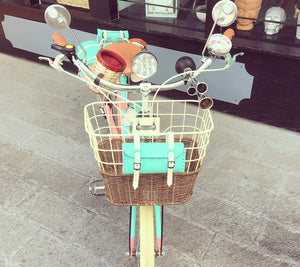 Slim D Sky Ferreira 2.0 RIN RIN BICLAS