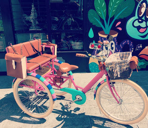 Tricicleta Everlasting Fun 2.0 2019 RIN RIN BICLAS