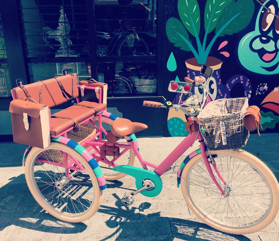 Tricicleta Everlasting Fun 2.0 2019 RIN RIN BICLAS