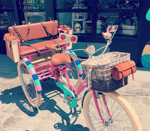 Tricicleta Everlasting Fun 2.0 2019 RIN RIN BICLAS