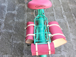 Curve D Eudoria Holmes RIN RIN BICLAS