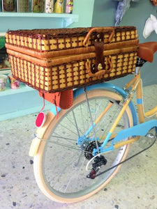 Canastilla trasera picnic RIN RIN BICLAS
