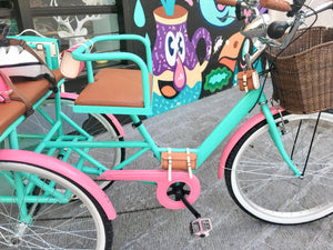 Tricicleta LIM 2021 RIN RIN BICLAS