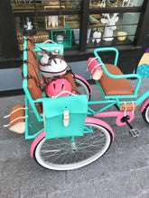 Cargar imagen en el visor de la galería, Tricicleta LIM 2021 RIN RIN BICLAS
