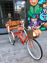 Cargar imagen en el visor de la galería, Tricicleta Apple 2019 RIN RIN BICLAS

