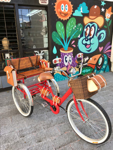 Tricicleta Apple 2019 RIN RIN BICLAS