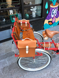 Tricicleta Apple 2019 RIN RIN BICLAS