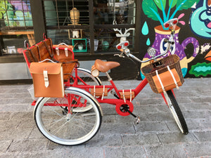 Tricicleta Apple 2019 RIN RIN BICLAS