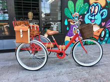 Cargar imagen en el visor de la galería, Tricicleta Apple 2019 RIN RIN BICLAS
