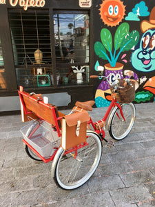 Tricicleta Apple 2019 RIN RIN BICLAS