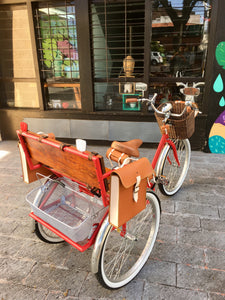Tricicleta Apple 2019 RIN RIN BICLAS