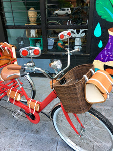 Tricicleta Apple 2019 RIN RIN BICLAS