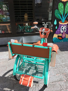 Tricicleta Margot Robbie RIN RIN BICLAS