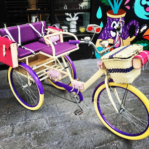 Tricicleta Gamora 2021 RIN RIN BICLAS