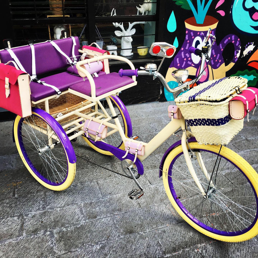 Tricicleta Gamora 2021 RIN RIN BICLAS