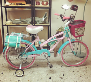 Curve N R20 Crash Landing On You RIN RIN BICLAS
