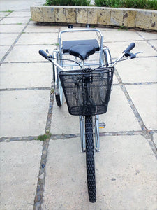 Tricicleta Enmascarado de Plata 2017 RIN RIN BICLAS