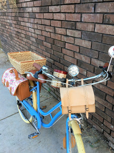 Morrissey Arcade Fire RIN RIN BICLAS