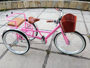 Tricicleta pink flamingo banca chica RIN RIN BICLAS
