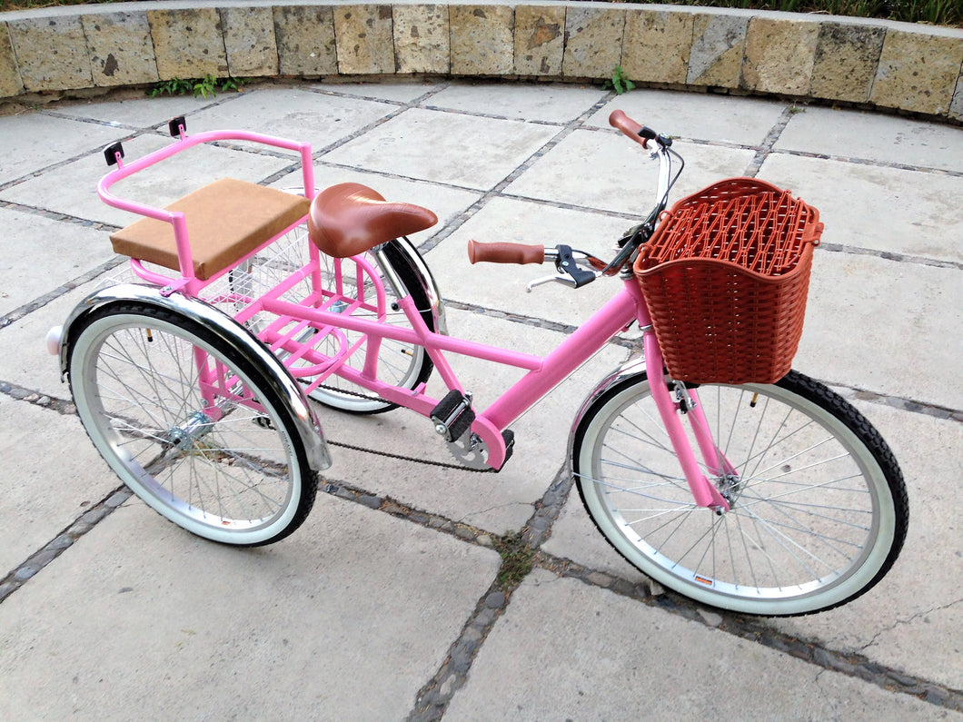 Tricicleta pink flamingo banca chica RIN RIN BICLAS