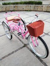 Cargar imagen en el visor de la galería, Tricicleta pink flamingo banca chica RIN RIN BICLAS
