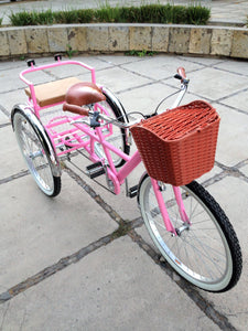 Tricicleta pink flamingo banca chica RIN RIN BICLAS