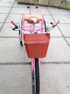 Tricicleta pink flamingo banca chica RIN RIN BICLAS