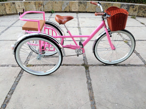 Tricicleta pink flamingo banca chica RIN RIN BICLAS